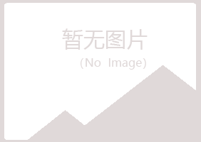 河池沙砾能源有限公司